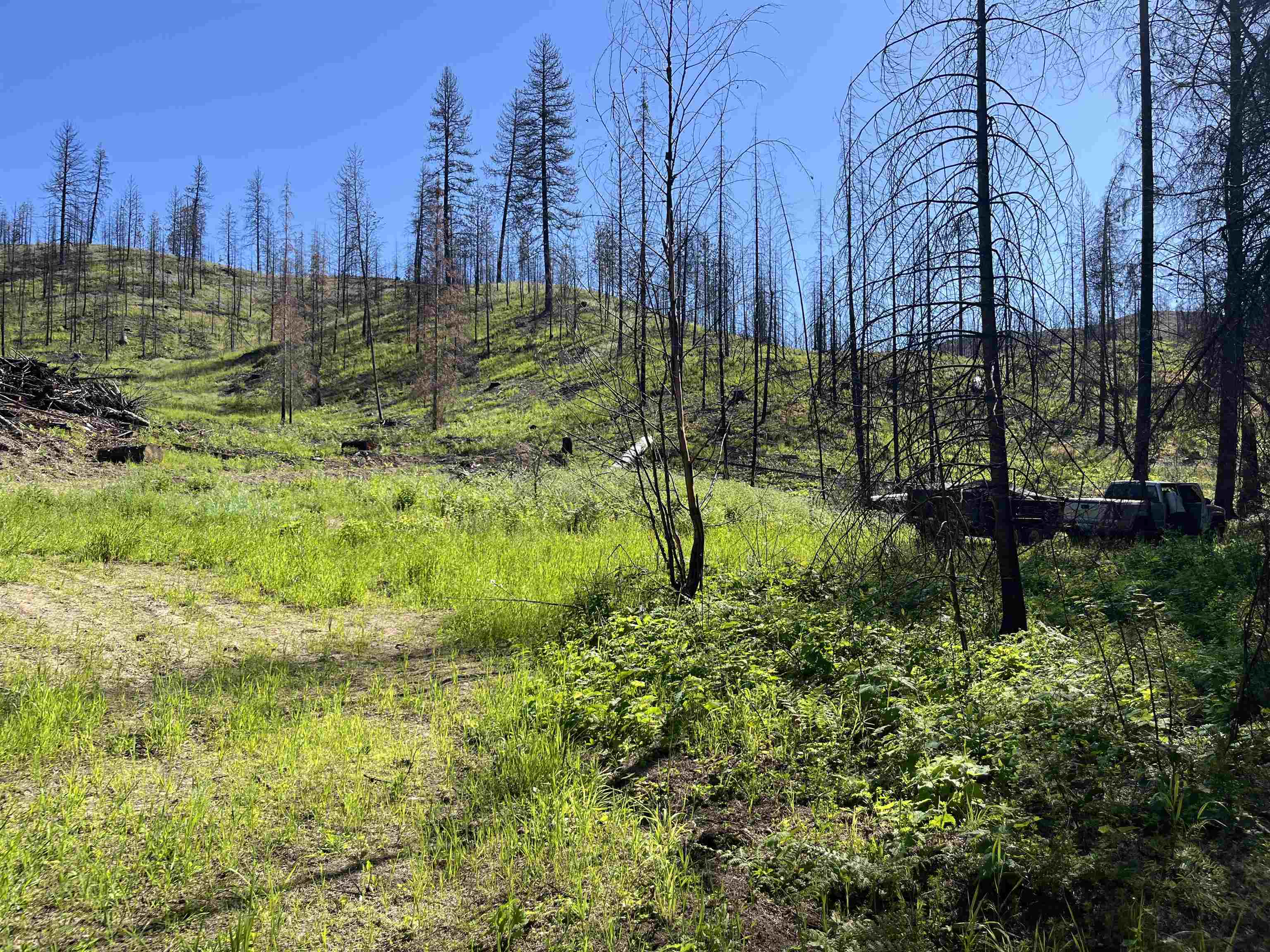 40114 North Jackson Road Elk, WA 99009 - Photo 22 of 27