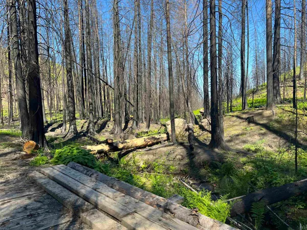 $199,000 | 40114 North Jackson Road, Elk, WA 99009