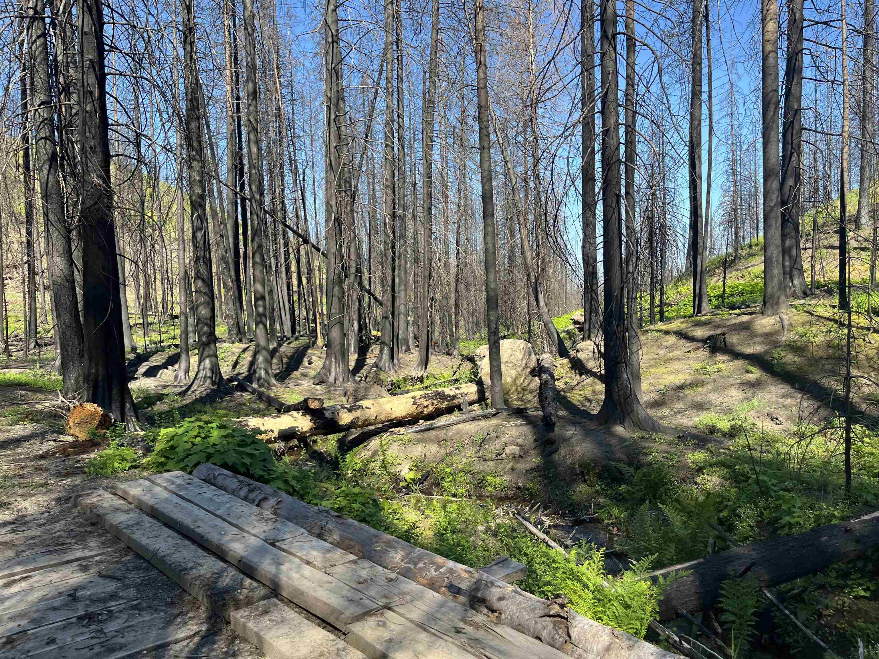 40114 North Jackson Road Elk, WA 99009 - Photo 23 of 27