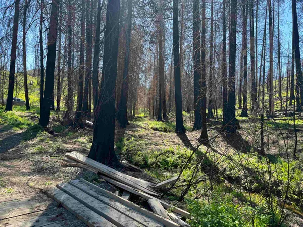 $199,000 | 40114 North Jackson Road, Elk, WA 99009