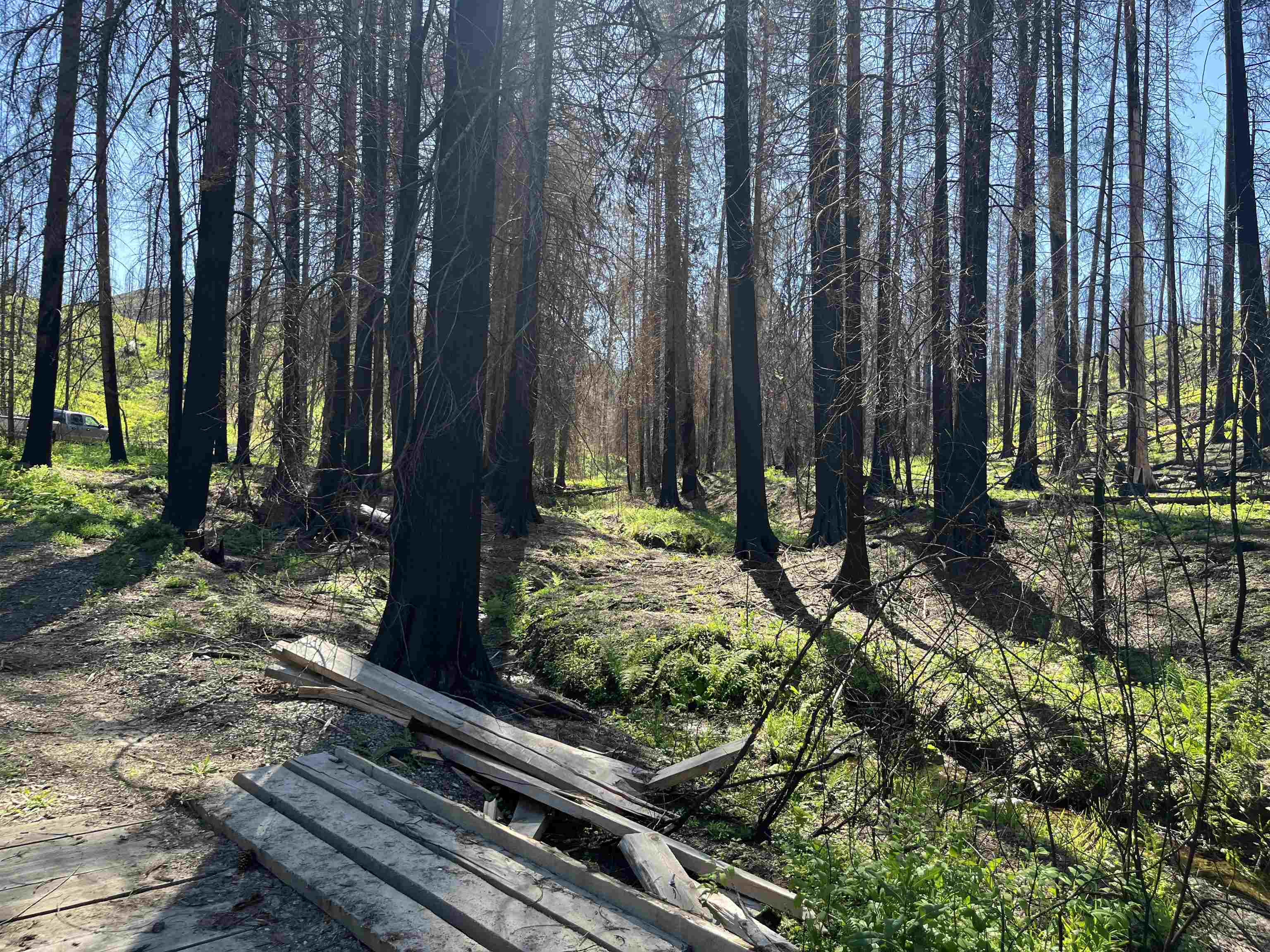 40114 North Jackson Road Elk, WA 99009 - Photo 24 of 27