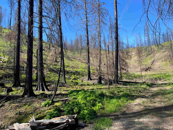 $199,000 | 40114 North Jackson Road, Elk, WA 99009