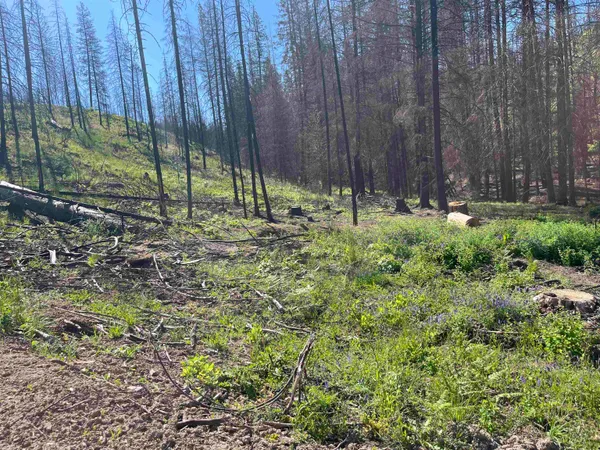 $199,000 | 40114 North Jackson Road, Elk, WA 99009