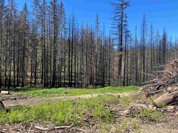 $199,000 | 40114 North Jackson Road, Elk, WA 99009