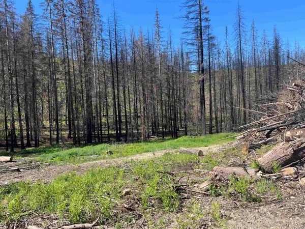 $199,000 | 40114 North Jackson Road, Elk, WA 99009