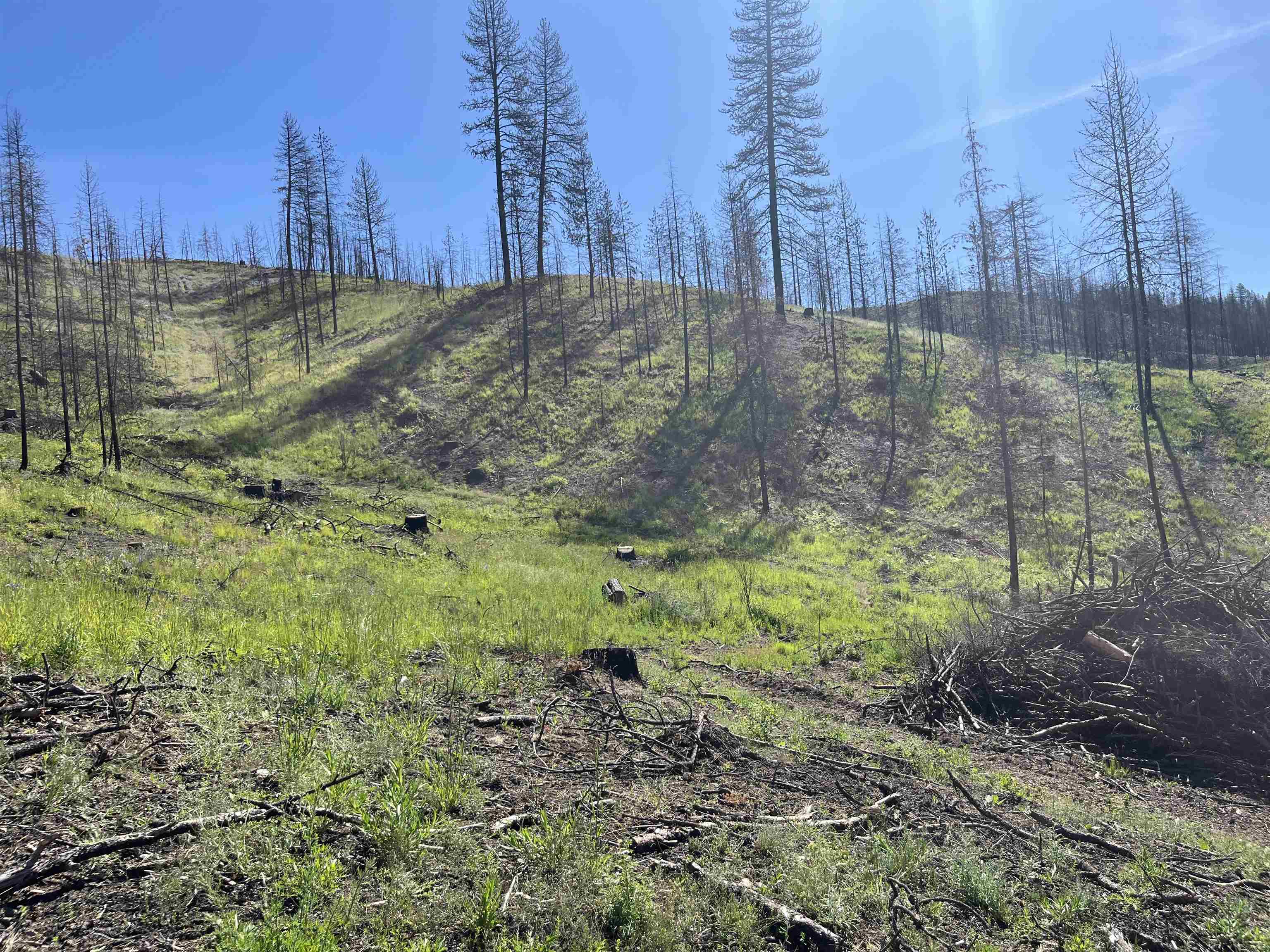 40114 North Jackson Road Elk, WA 99009 - Photo 5 of 27