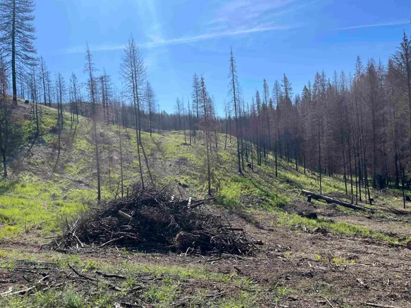 $199,000 | 40114 North Jackson Road, Elk, WA 99009