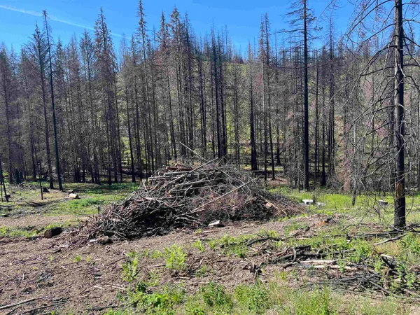 $199,000 | 40114 North Jackson Road, Elk, WA 99009