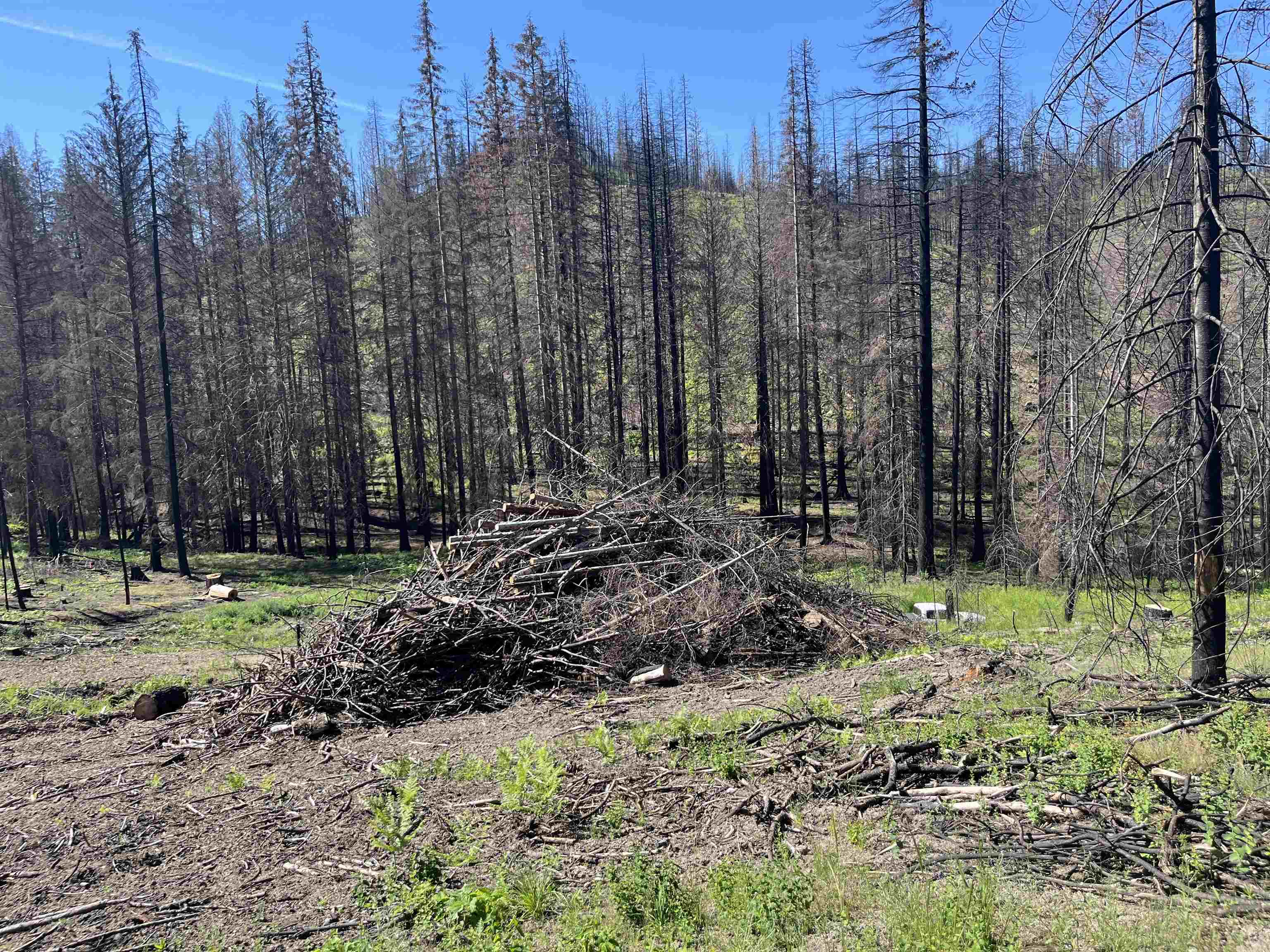 40114 North Jackson Road Elk, WA 99009 - Photo 8 of 27