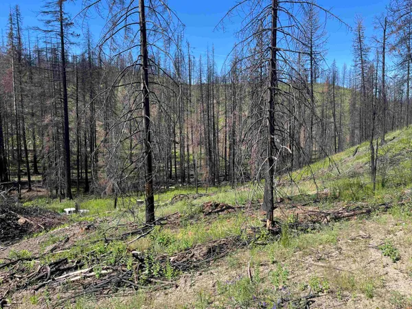 $199,000 | 40114 North Jackson Road, Elk, WA 99009