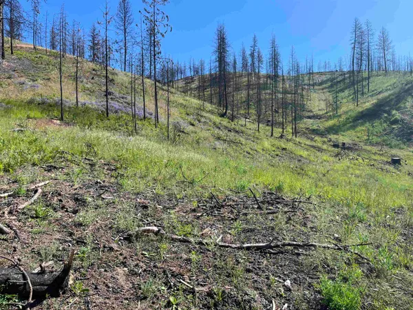 $199,000 | 40114 North Jackson Road, Elk, WA 99009