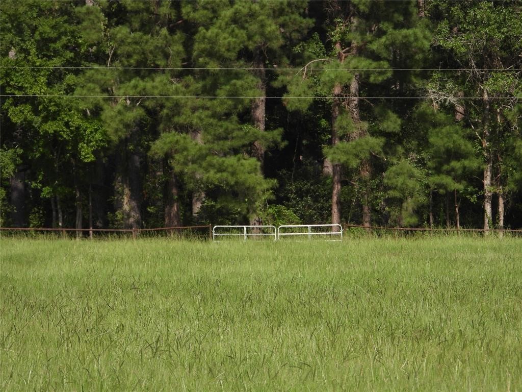 18855 Bethel Road Richards, TX 77873 - Photo 2 of 14 a view of a park