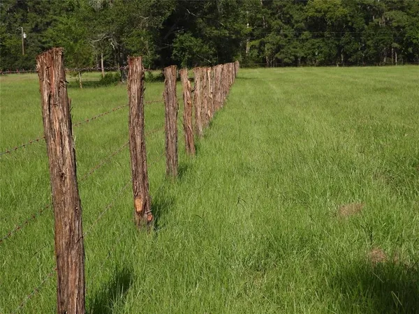 a view of a golf ground with huge green field and trees