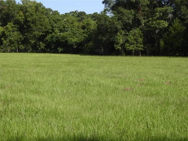 a view of green field with trees in the background
