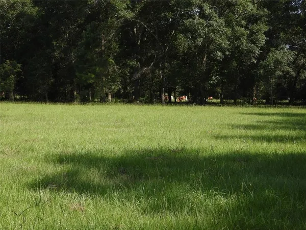 a view of outdoor space with deck and yard