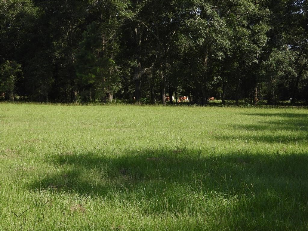 18855 Bethel Road Richards, TX 77873 - Photo 5 of 14 a view of outdoor space with deck and yard