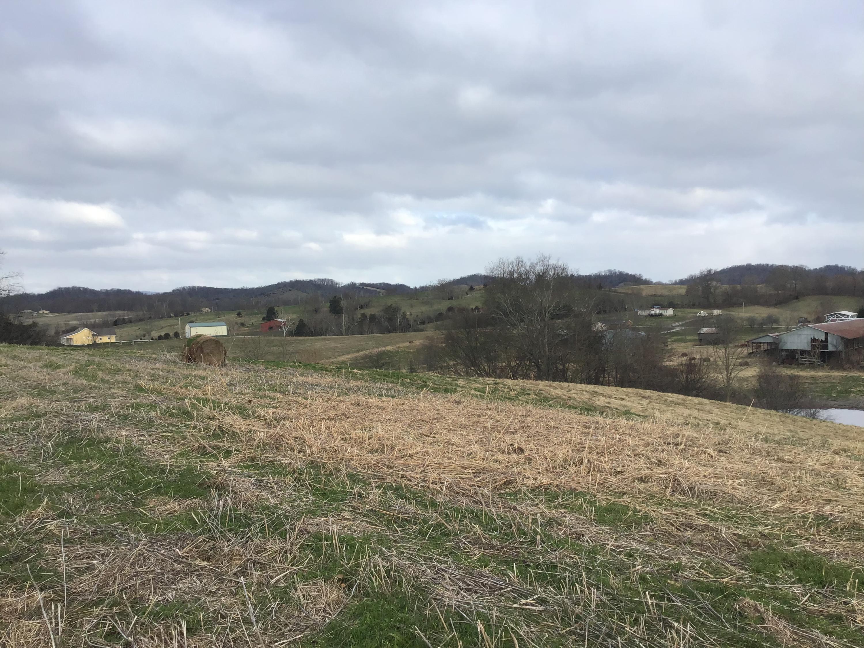 Lot 24 Milburnton Road, Unit 24 Limestone, TN 37681 - Photo 4 of 27 E6E1CDF9-4748-40BA-9BEE-5C77280B35DC