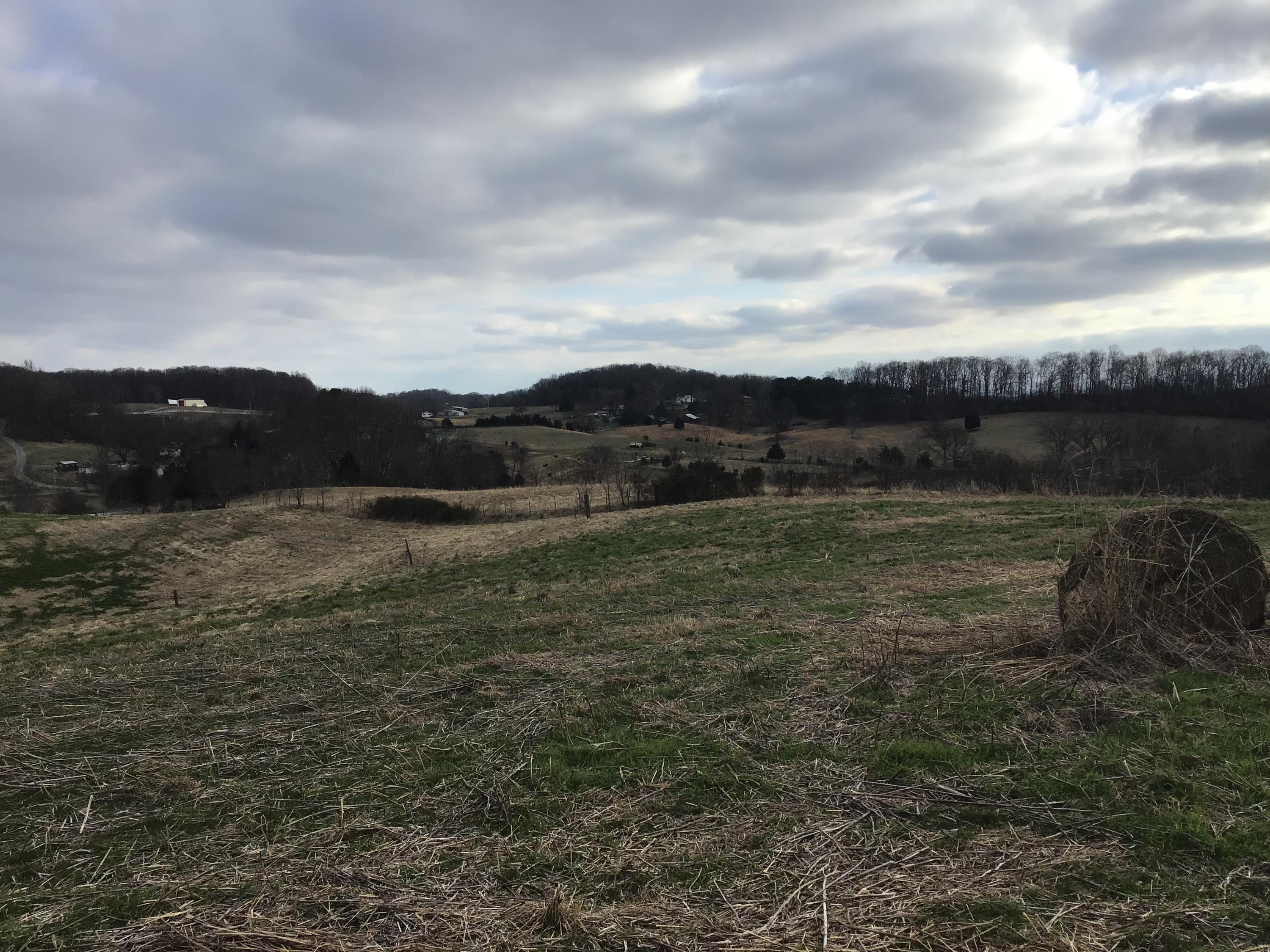 Lot 24 Milburnton Road, Unit 24 Limestone, TN 37681 - Photo 6 of 27 958CD4A4-33C5-430D-81BB-F3D1D678A9AC