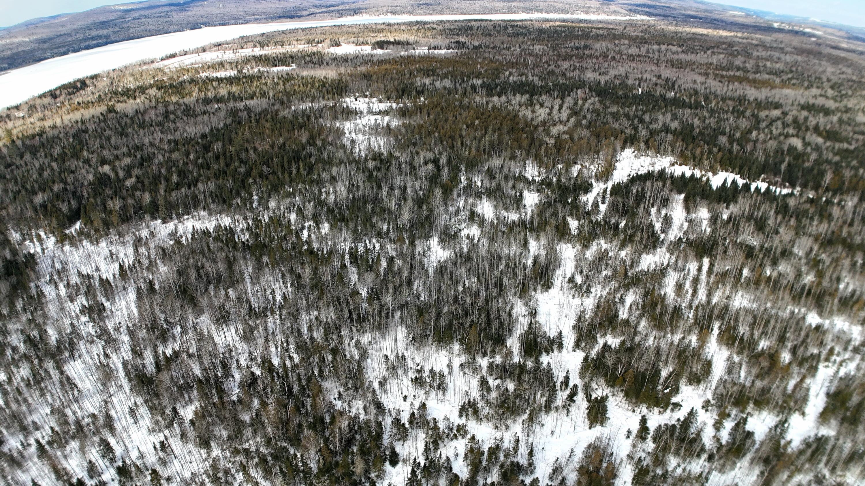 M2-l51 Quimby Road Winterville Plt, ME 04739 - Photo 6 of 14