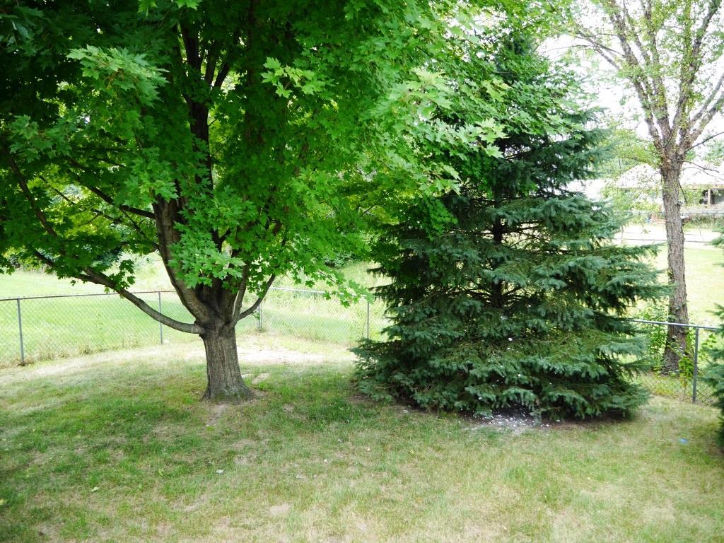 3387 Reed Point Drive Hilliard, OH 43026 - Photo 36 of 41 Gallery Image 36
