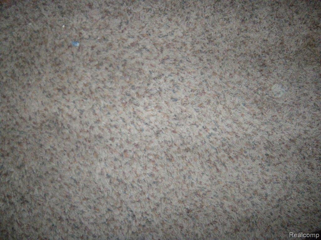 17307 33 Mile Road Armada, MI 48005 - Photo 13 of 14 You don't need to change carpet!