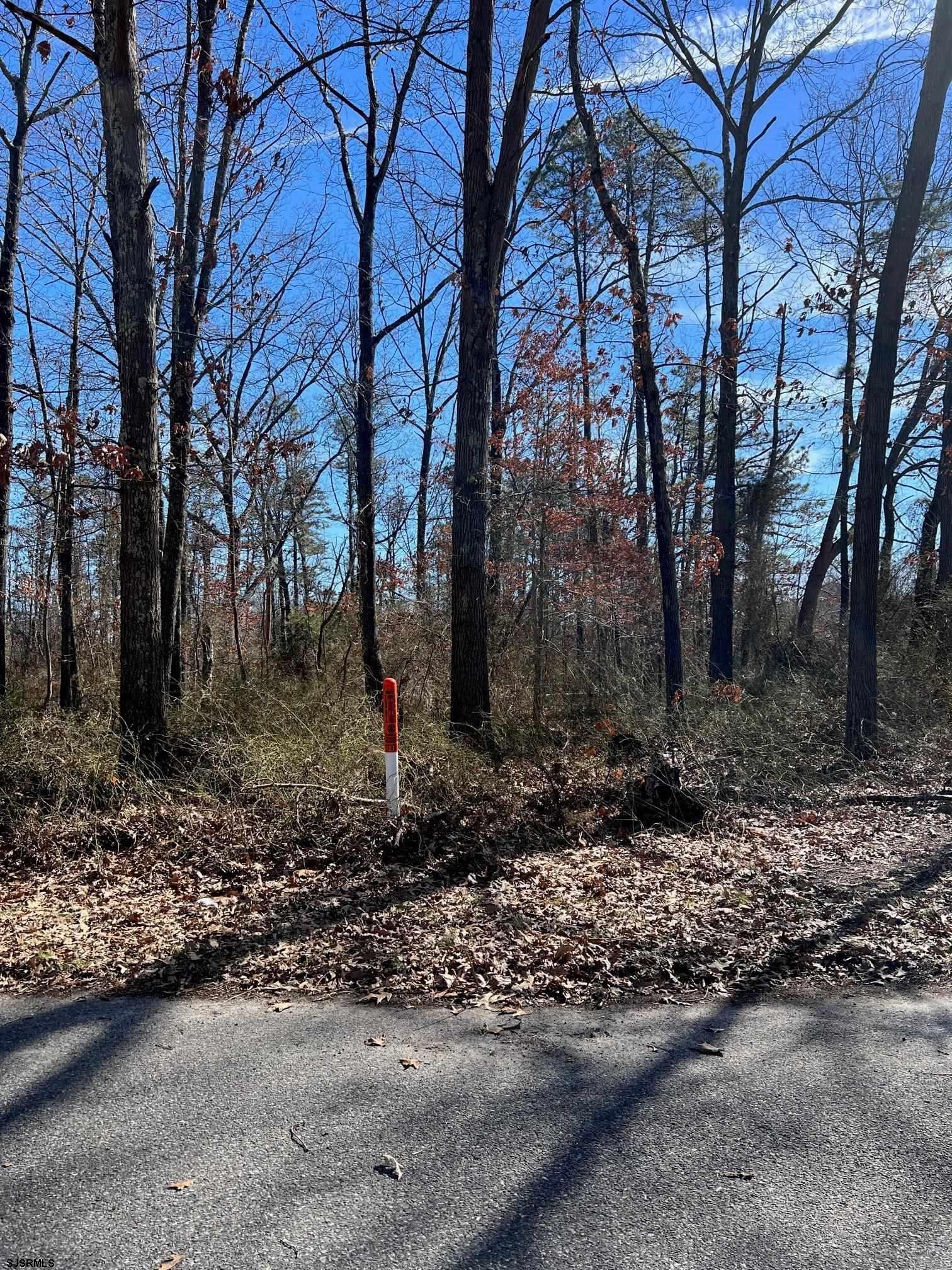 Philadelphia Avenue Egg Harbor City, NJ 08215 - Photo 1 of 4 a backyard of a house with lots of green space