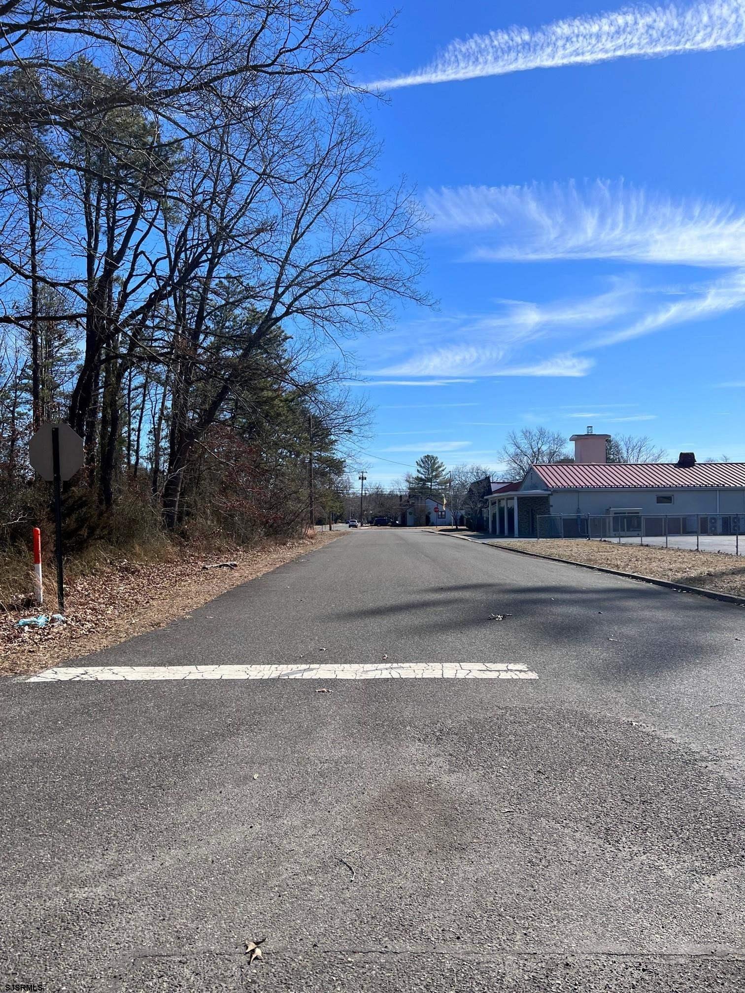 Philadelphia Avenue Egg Harbor City, NJ 08215 - Photo 3 of 4 a view of a yard