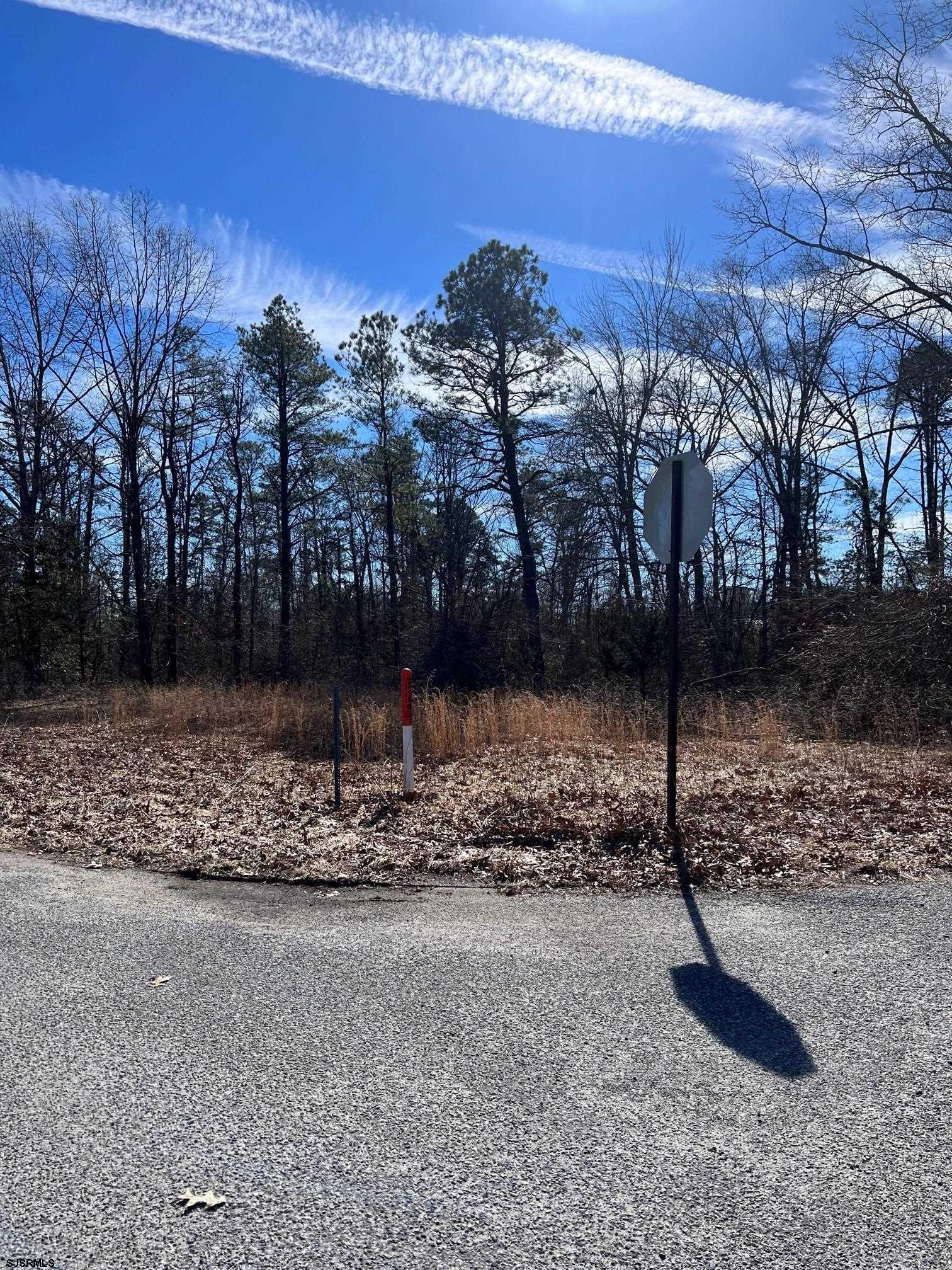 Philadelphia Avenue Egg Harbor City, NJ 08215 - Photo 4 of 4 a view of a yard