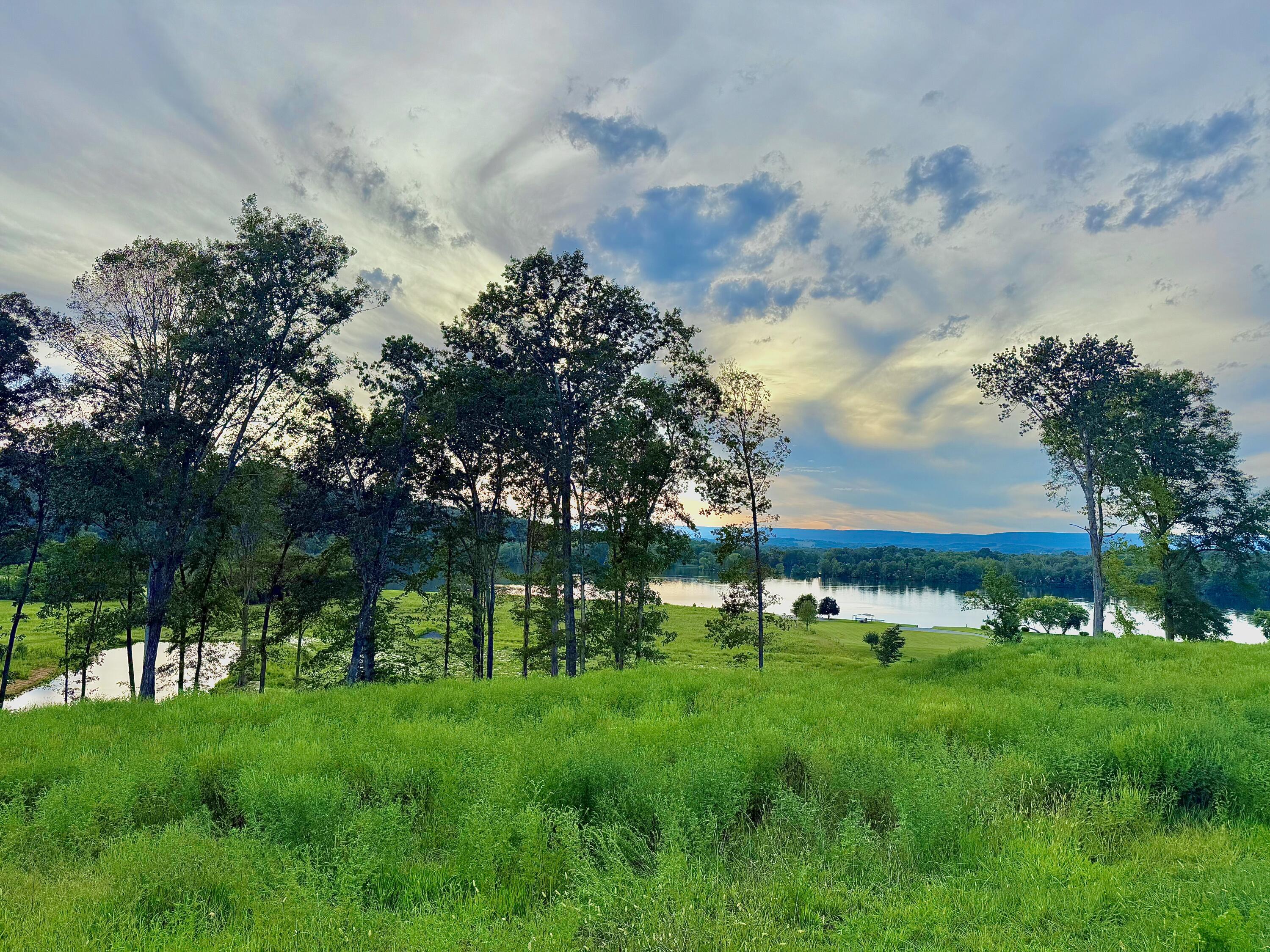 1276 Holly Glen Road Decatur, TN 37322 - Photo 2 of 8 IMG_5795