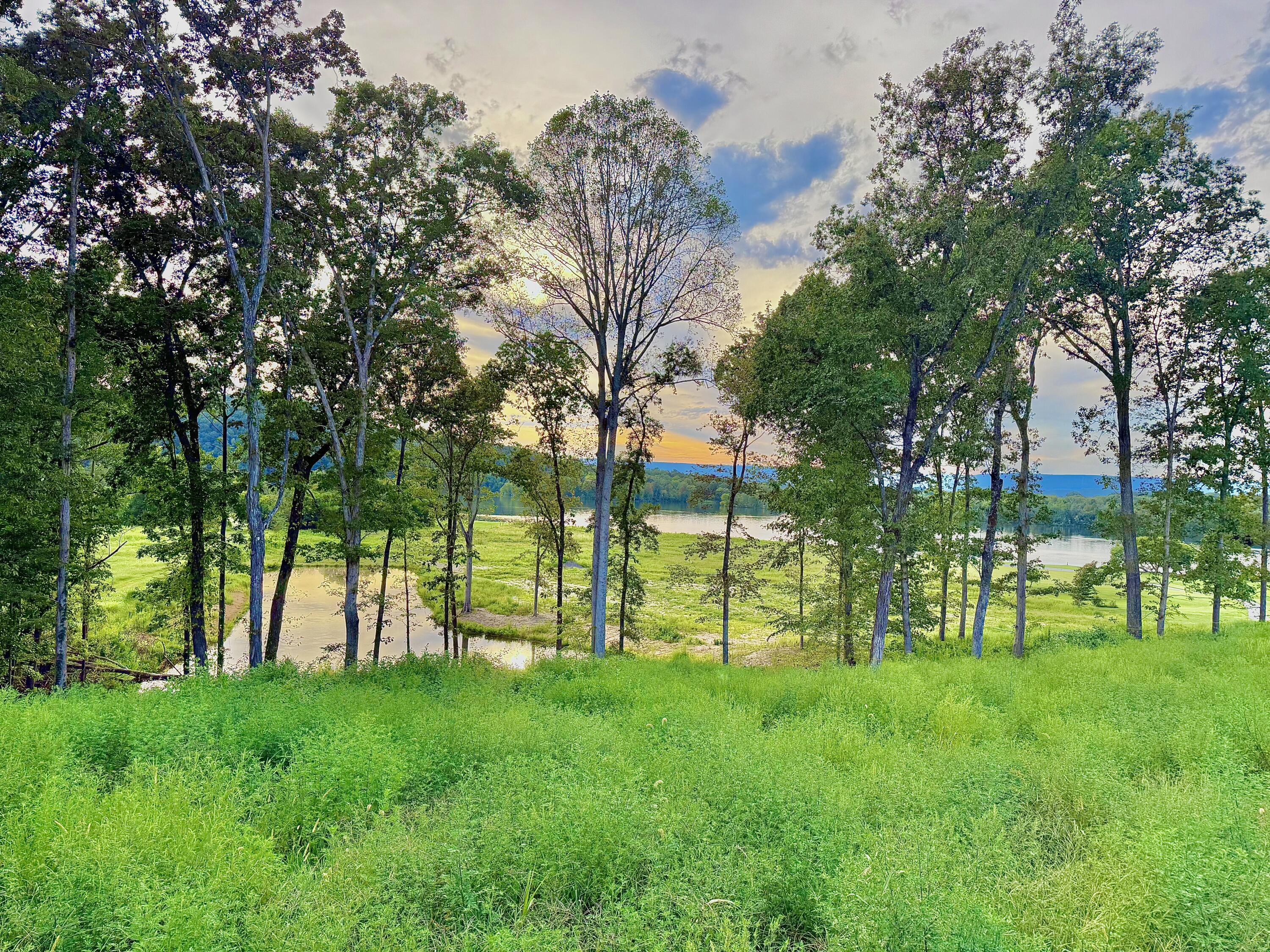 1276 Holly Glen Road Decatur, TN 37322 - Photo 3 of 8 IMG_5790