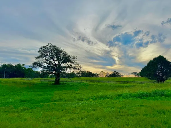 $1,100,000 | 1276 Holly Glen Road, Decatur, TN 37322
