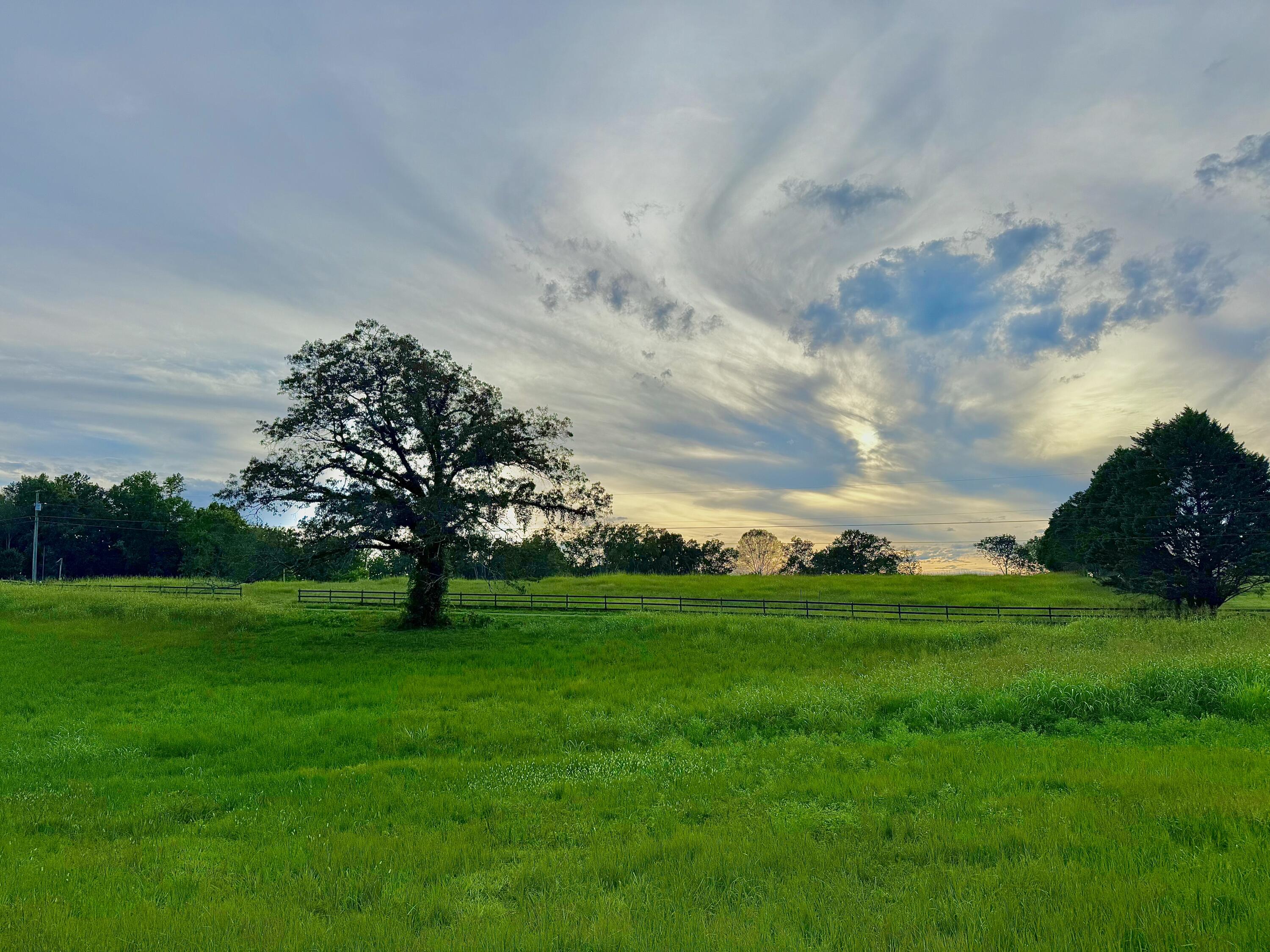 1276 Holly Glen Road Decatur, TN 37322 - Photo 5 of 8 IMG_5796