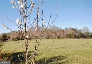 a view of a lake from a yard