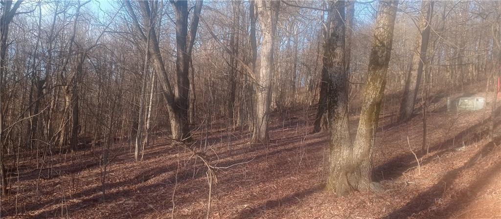 33 High Cliff Road Jasper, GA 30143 - Photo 15 of 22 a view of backyard with wooden fence