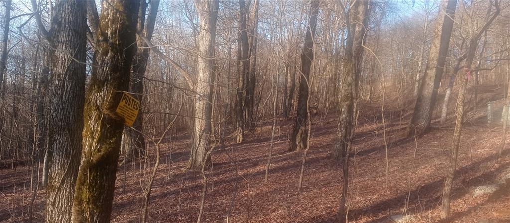 33 High Cliff Road Jasper, GA 30143 - Photo 16 of 22 a bathroom with a shower