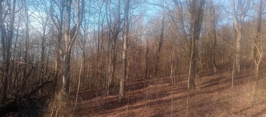 33 High Cliff Road Jasper, GA 30143 - Photo 17 of 22 a view of a pathway with a wooden fence