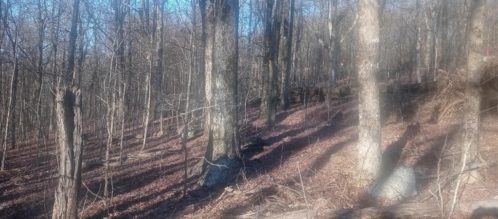 33 High Cliff Road Jasper, GA 30143 - Photo 19 of 22 a view of a pathway