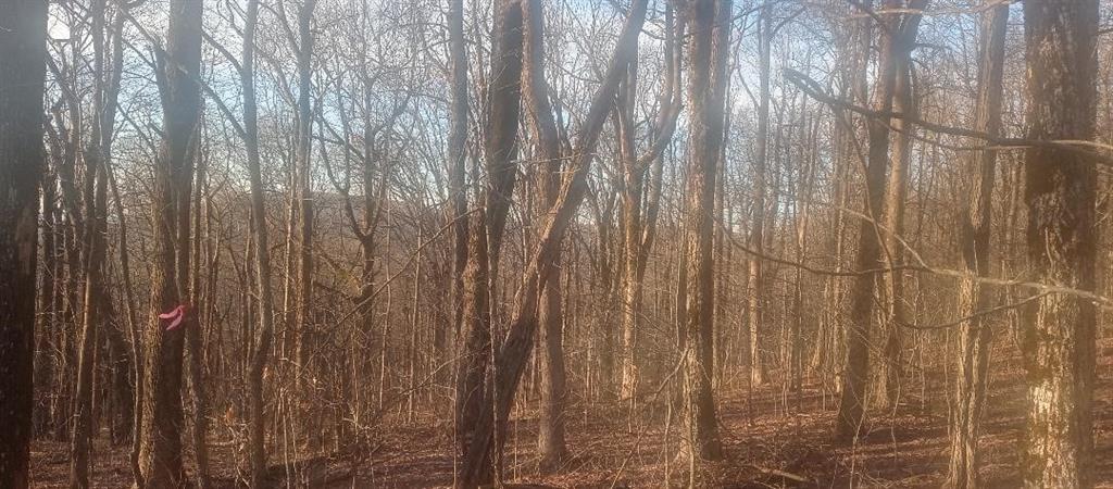 33 High Cliff Road Jasper, GA 30143 - Photo 20 of 22 a close view of wooden wall with a wooden floor