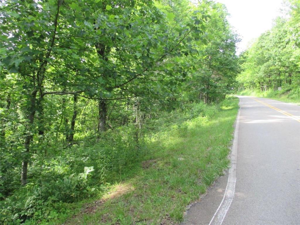 33 High Cliff Road Jasper, GA 30143 - Photo 4 of 22 a view of a garden with a tree