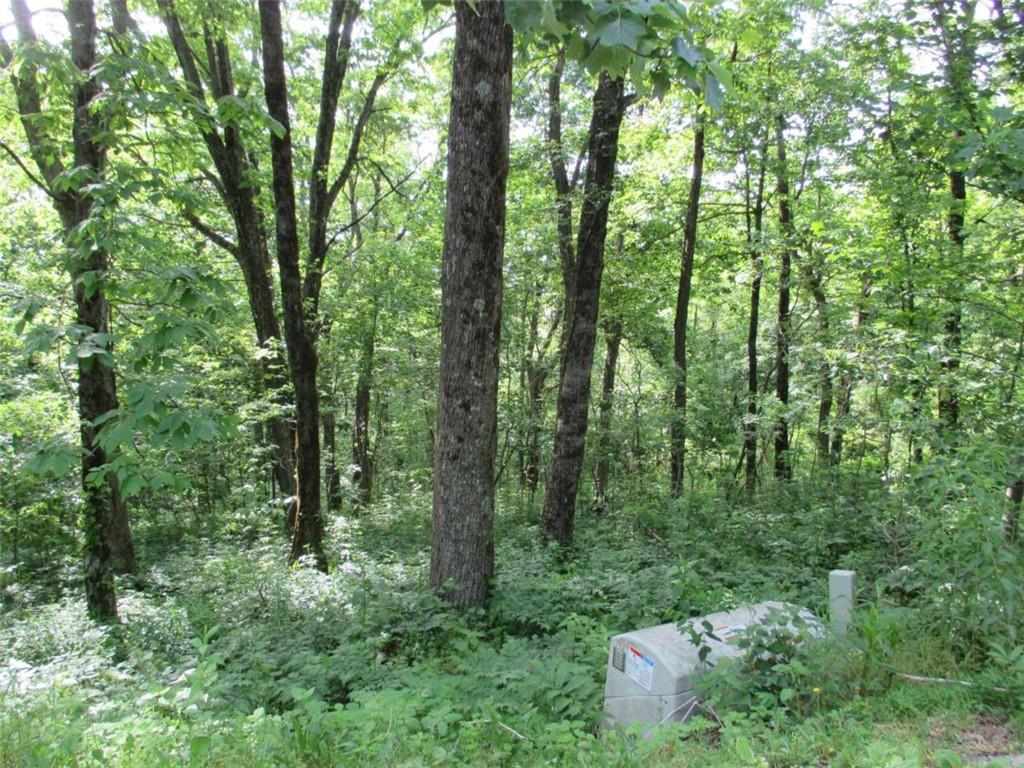 33 High Cliff Road Jasper, GA 30143 - Photo 6 of 22 a view of a forest with trees
