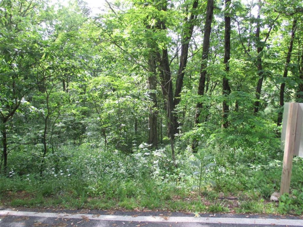 33 High Cliff Road Jasper, GA 30143 - Photo 7 of 22 a view of a yard
