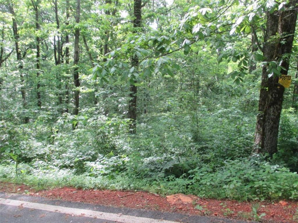 33 High Cliff Road Jasper, GA 30143 - Photo 8 of 22 a view of a lush green forest