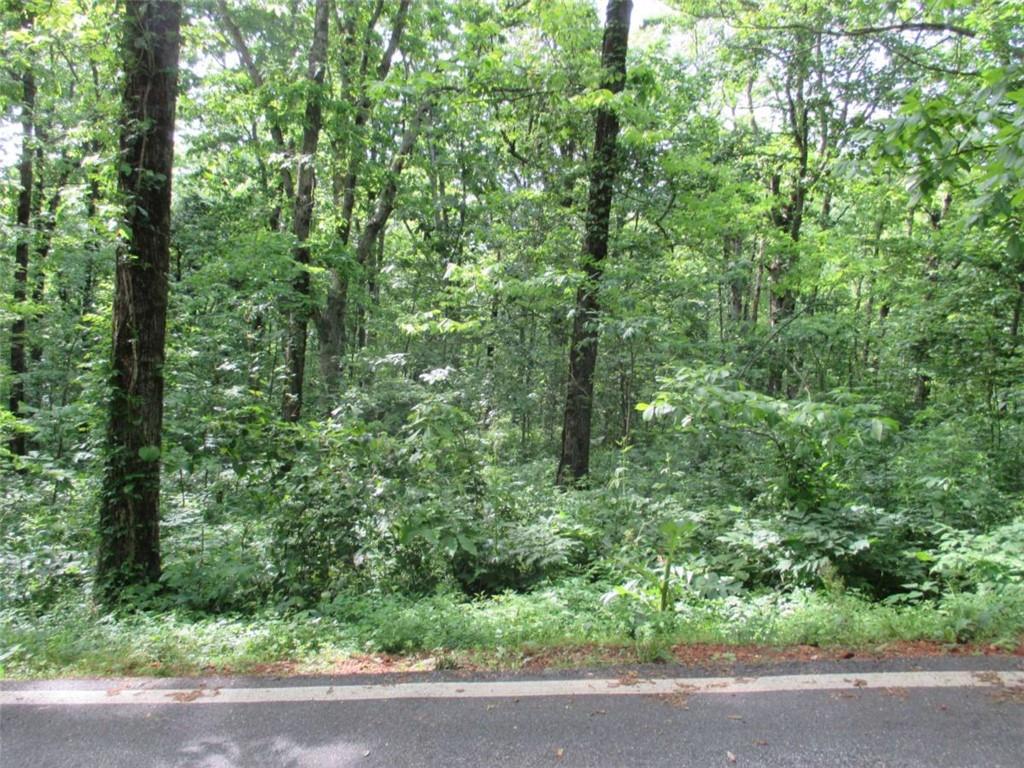 33 High Cliff Road Jasper, GA 30143 - Photo 9 of 22 a view of a garden