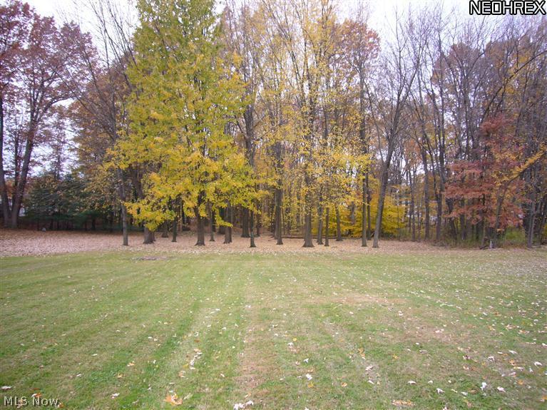 262 Meadowridge Road Akron, OH 44312 - Photo 19 of 21 Gallery Image 19