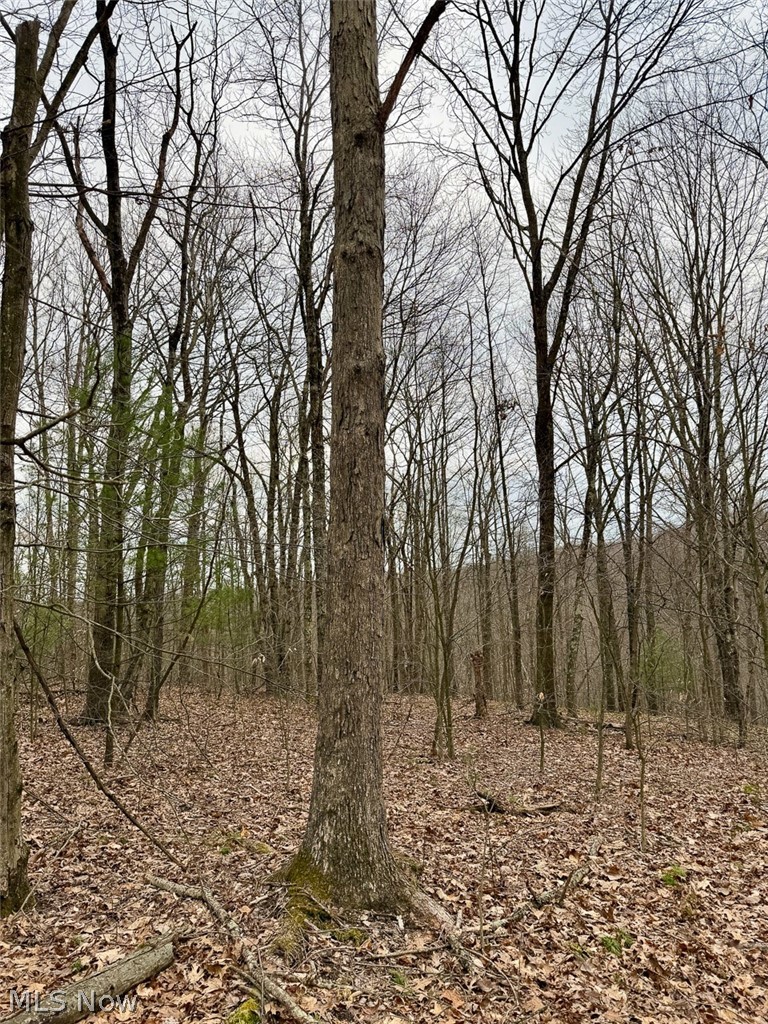 Hanson Road Beverly, OH 45715 - Photo 37 of 45