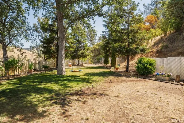 a view of a yard with plants and large trees