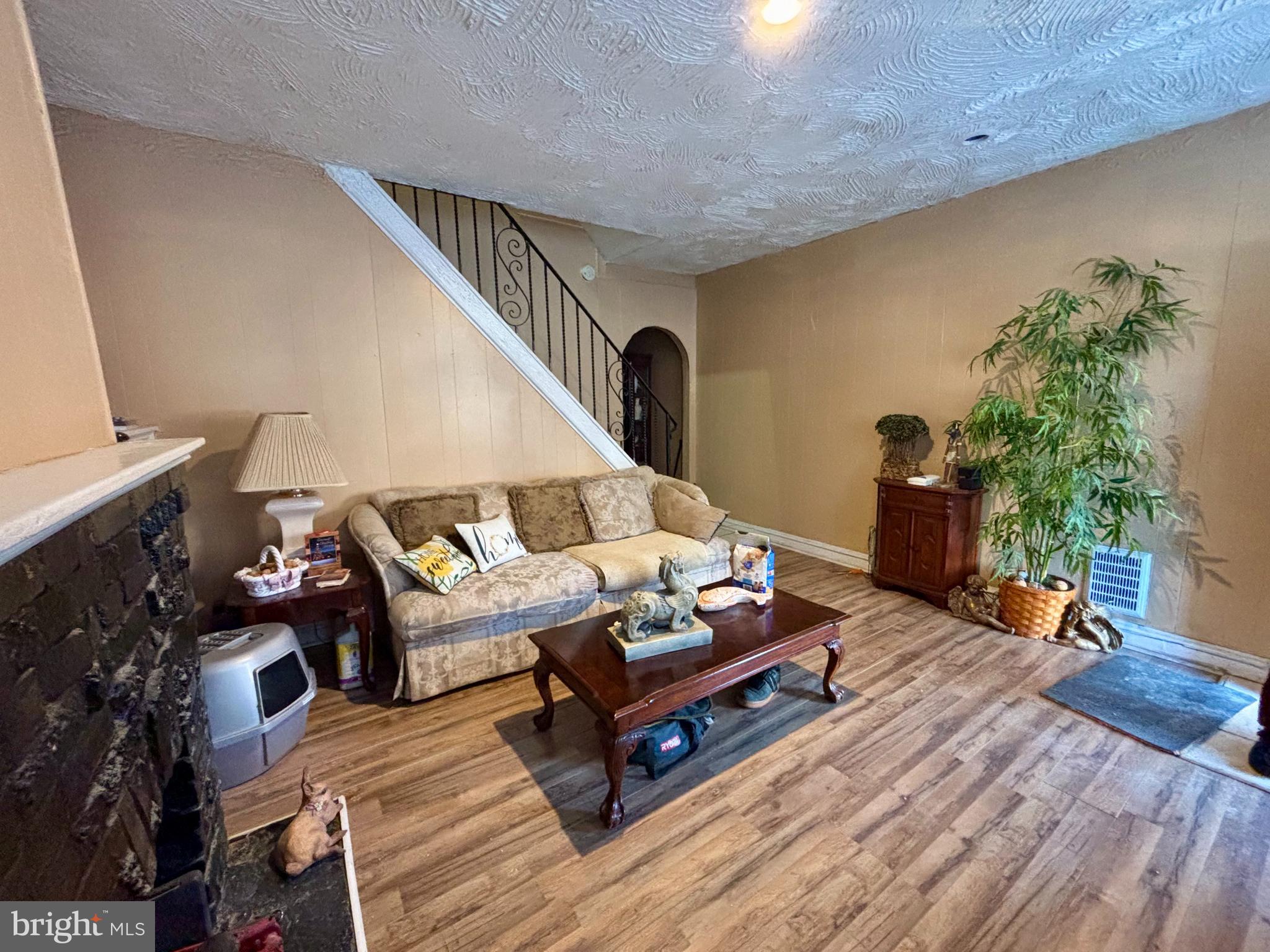 5144 West Stiles Street Philadelphia, PA 19131 - Photo 3 of 16 a living room with furniture and a potted plant