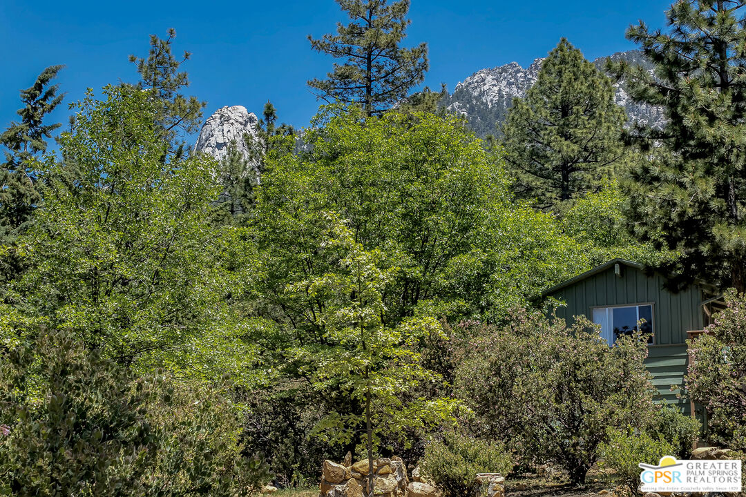 25465 Seneca Road Idyllwild, CA 92549 - Photo 52 of 71