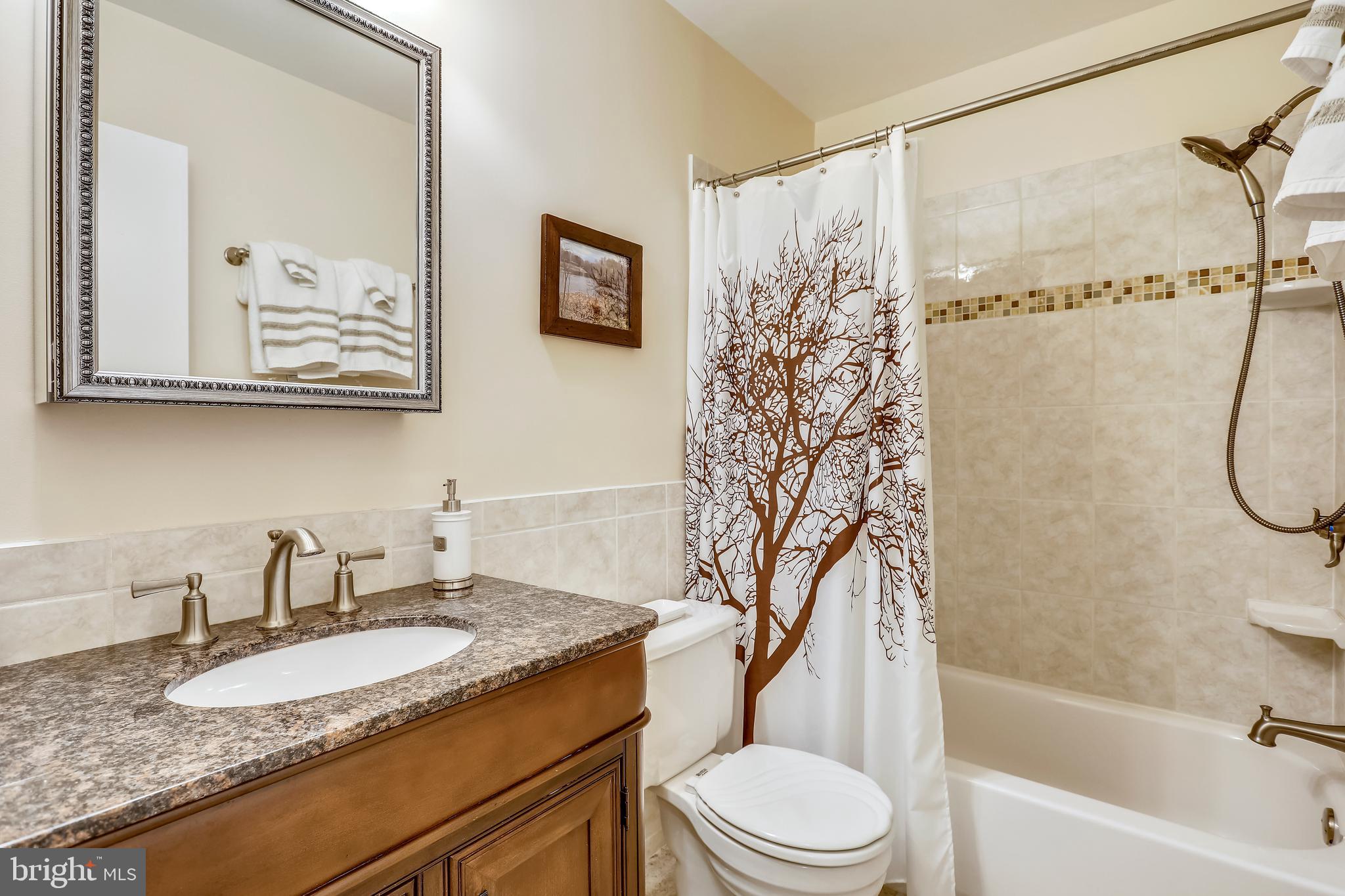 10424 Carlyn Ridge Road Damascus, MD 20872 - Photo 15 of 45 Beautiful Hall Bath