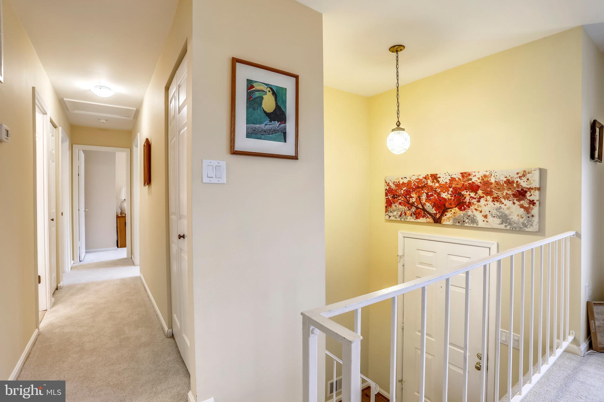 10424 Carlyn Ridge Road Damascus, MD 20872 - Photo 18 of 45 Hallway on Main Level